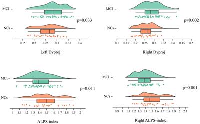 Moderating effect of education on glymphatic function and cognitive performance in mild cognitive impairment